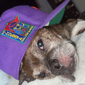 Meet your Posher, Christopher